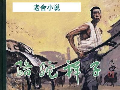 深入了解 芒果视频污污版